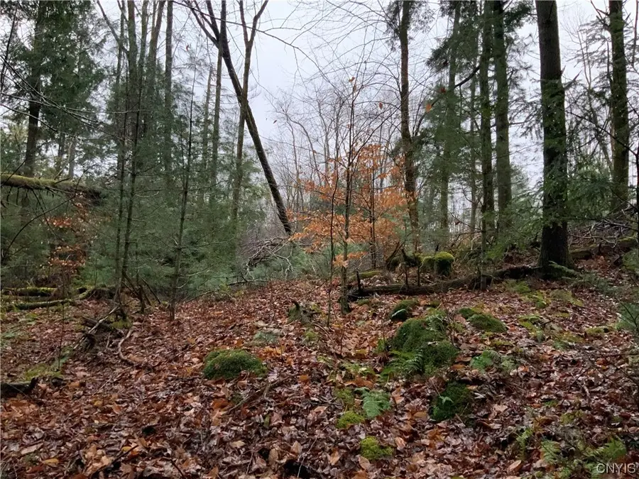 768 Center Street, Cleveland, NY 13042 - #2