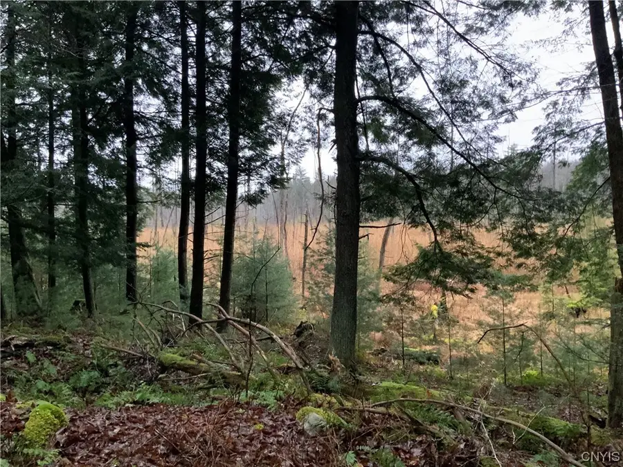 768 Center Street, Cleveland, NY 13042 - #3