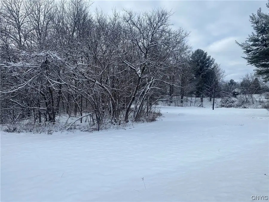 10 S Broad Street, Carthage, NY 13619 - Image #2