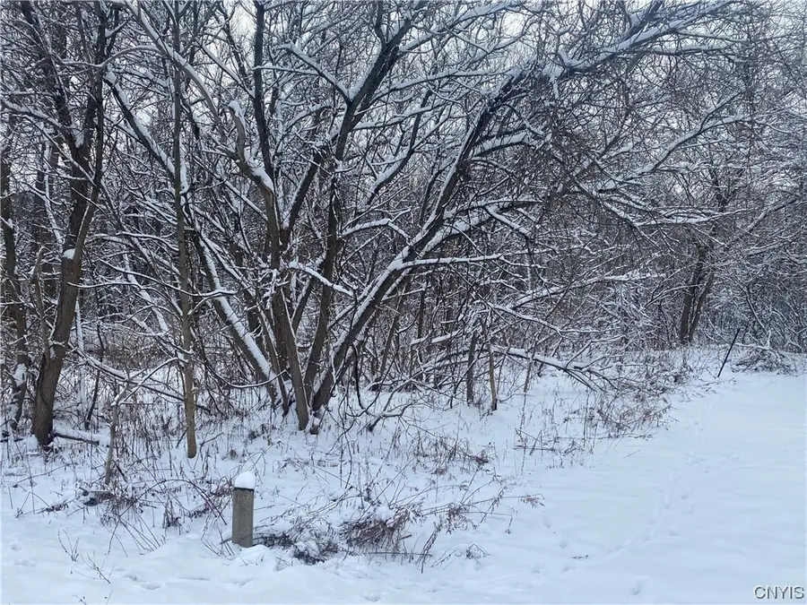 10 S Broad Street, Carthage, NY 13619 - Image #3