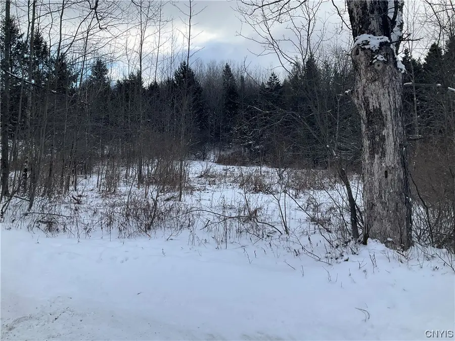 00 Curncross Road, Smyrna, NY 13464 - Image #2