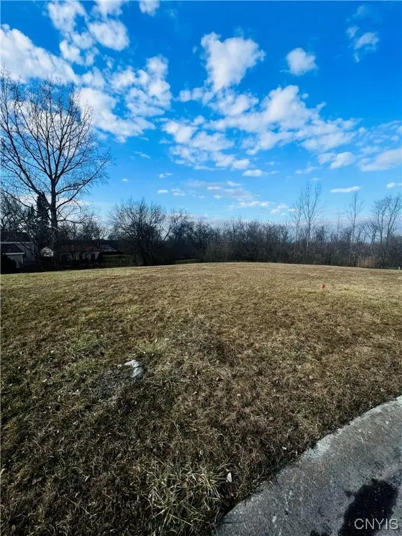 0 Will New Boulevard, Canastota, NY 13032 - Image #2