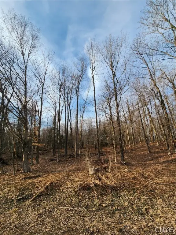 0000 Jess Drive, Redfield, NY 13437 - Image #2