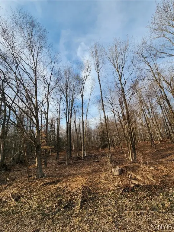 0000 Jess Drive, Redfield, NY 13437 - Image #3