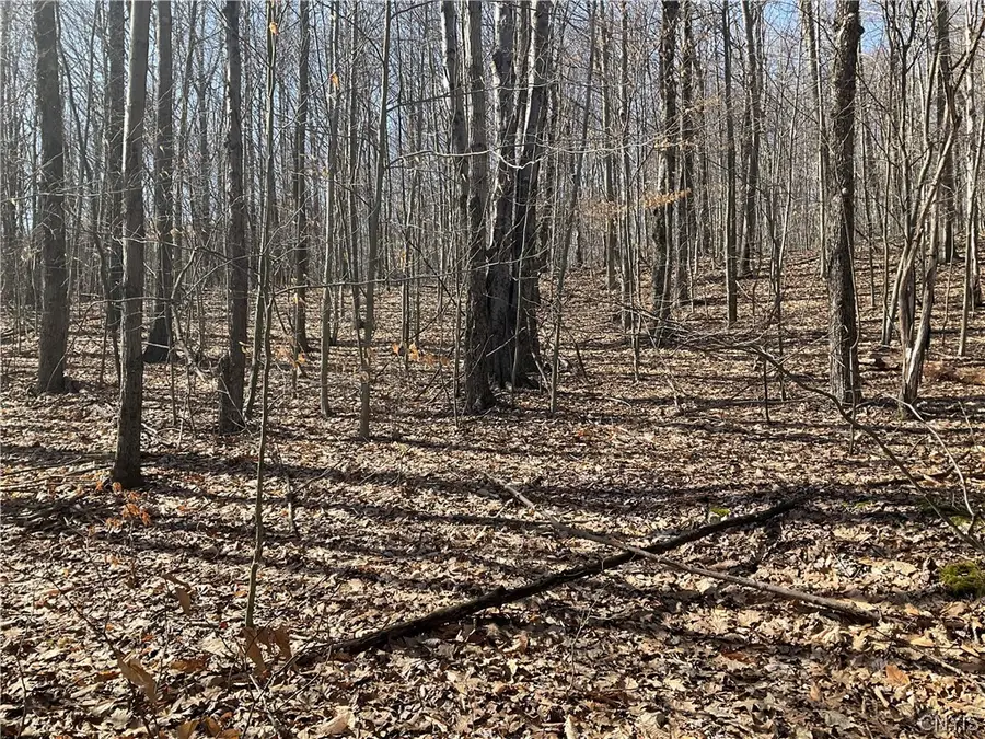 3041 Hance Road, Binghamton, NY 13903 - Image #2