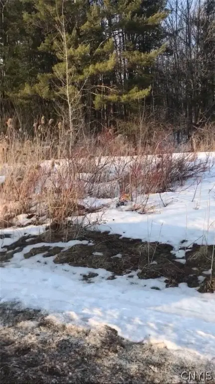 0 Hulser Road, Utica, NY 13502