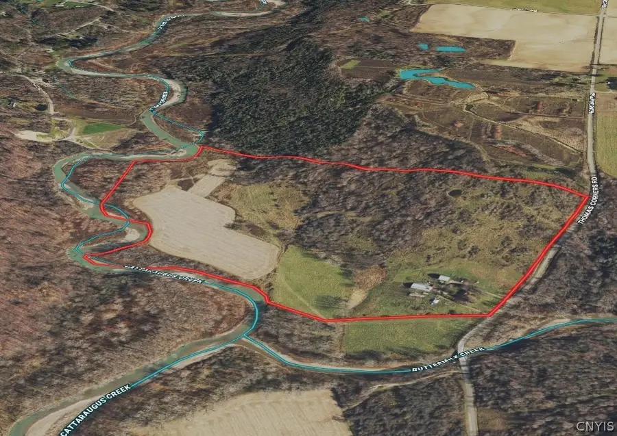 6558 Thomas Corners Road, West Valley, NY 14171 - Image #3