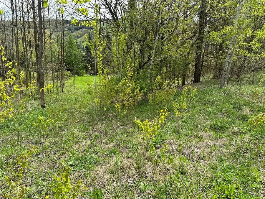 2018 Amalia Drive, Cortland, NY 13045 - Image #2