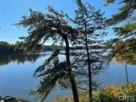 0 Big Island/lot 10, Morristown, NY 13664 - Image #2