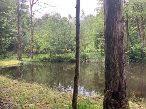 00 N Hillsboro Road, Camden, NY 13316