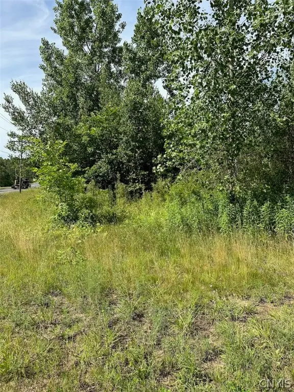 5 & 11 Belva Boulevard, Hastings, NY 13076 - Image #2