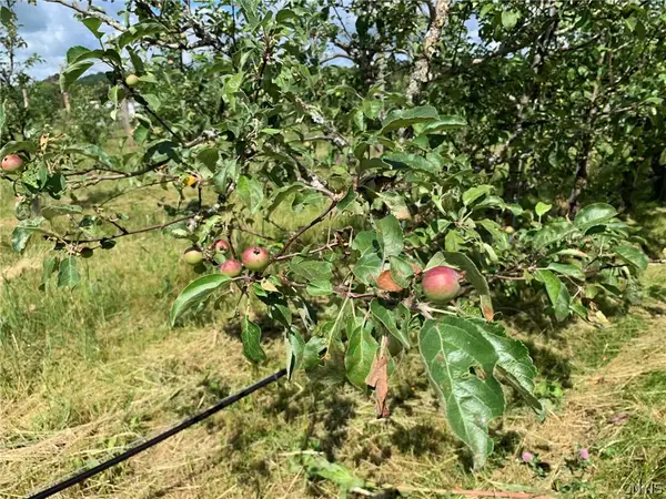 646 State Highway 3, Harrisville, NY 13648