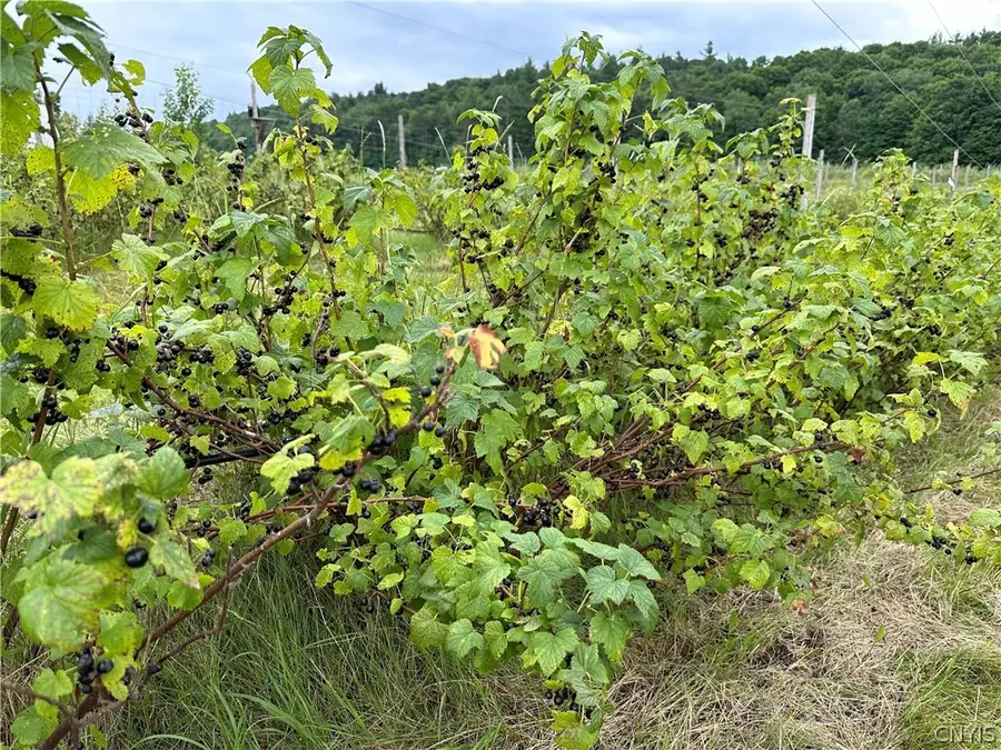 646 State Highway 3, Harrisville, NY 13648 - Image #2