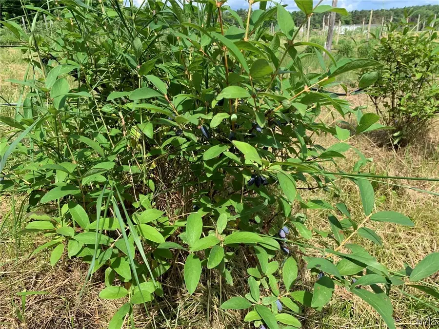 646 State Highway 3, Harrisville, NY 13648 - Image #3