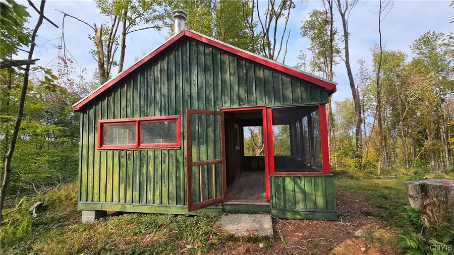 0 Hall Road, Cold Brook, NY 13324 - Image #2