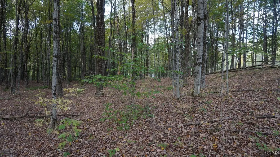 0 Mc Caw Road, Redfield, NY 13493 - Image #1