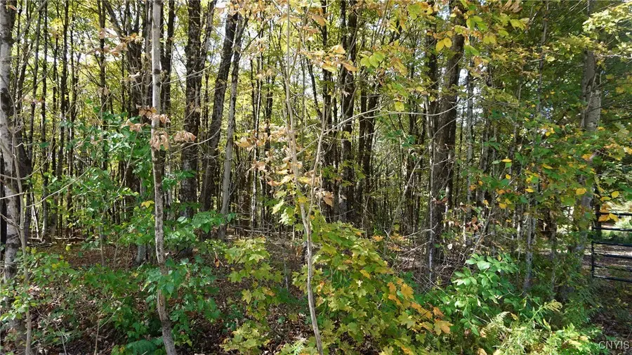 0 Mc Caw Road, Redfield, NY 13493 - Image #3