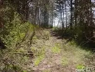 0 Nelson Road, Canastota, NY 13032 - Image #2