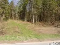 0 Nelson Road, Canastota, NY 13032 - Image #3