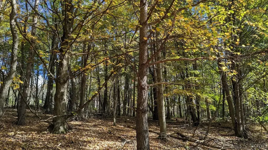 0 Johnny Cake Hill Road, Madison, NY 13402 - Image #3