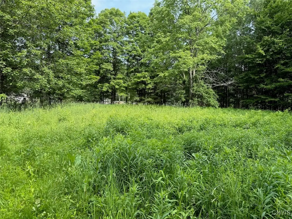 206 Durgee Road, Altmar, NY 13302 - Image #1