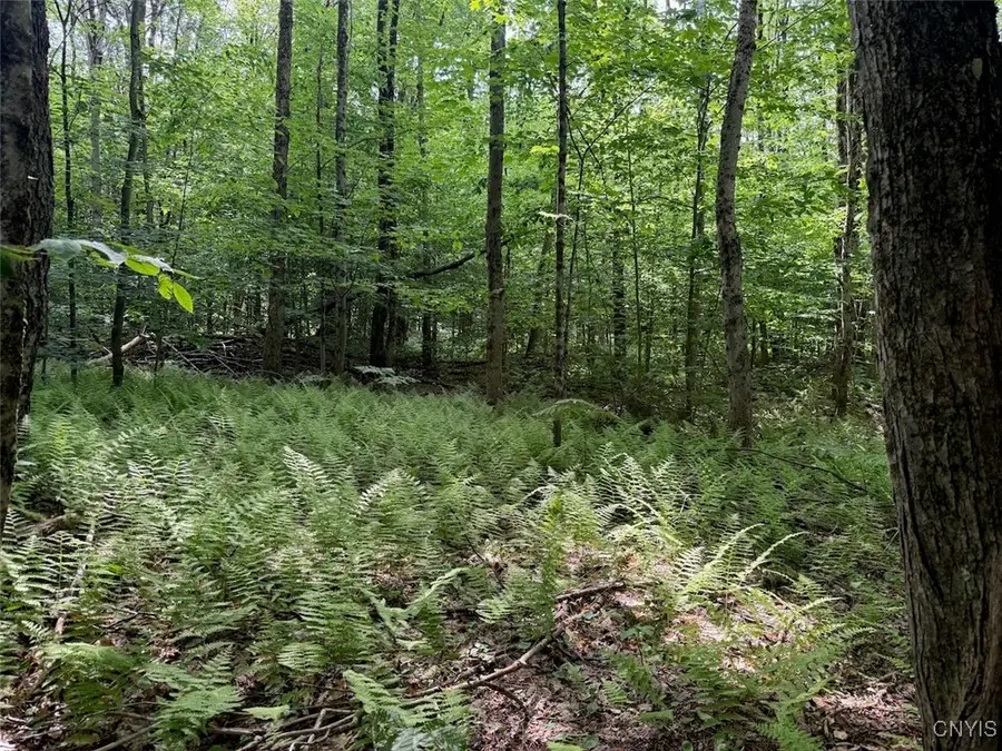 206 Durgee Road, Altmar, NY 13302 - Image #3