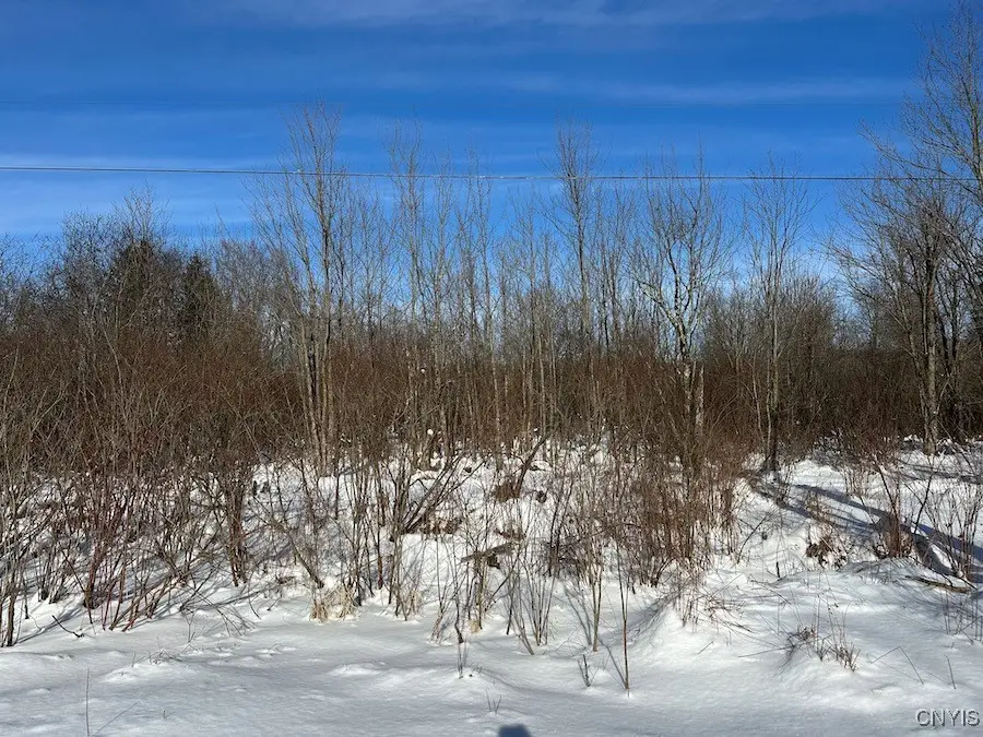 Cobb Drive, Lacona, NY 13083 - Image #1