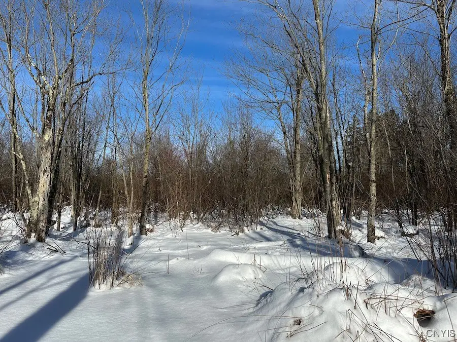 Cobb Drive, Lacona, NY 13083 - Image #3