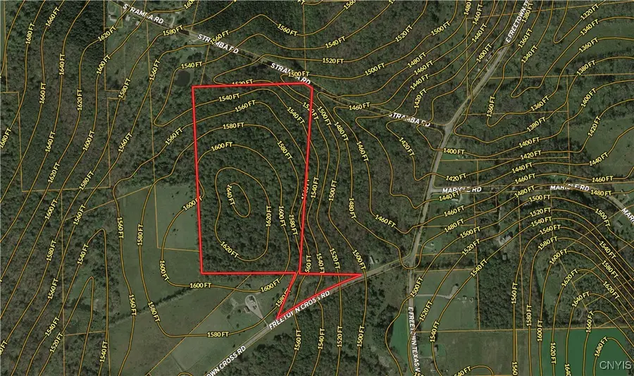 4296 Stramba Road, Cincinnatus, NY 13040 - Image #2