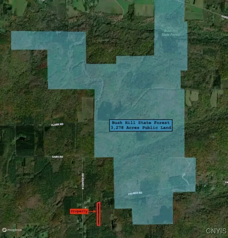 837 Palmer Road, Franklinville, NY 14737 - Image #3