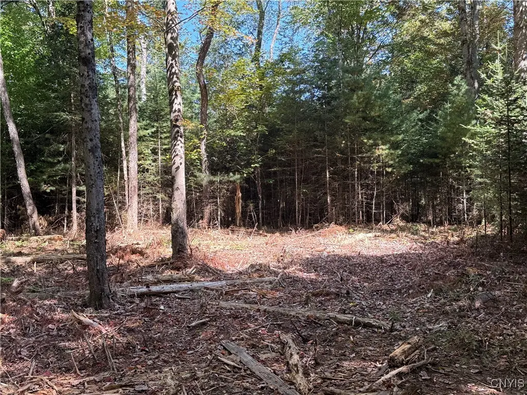 Lot #1 Beaver Trail, Alder Creek, NY 13301 - Image #1