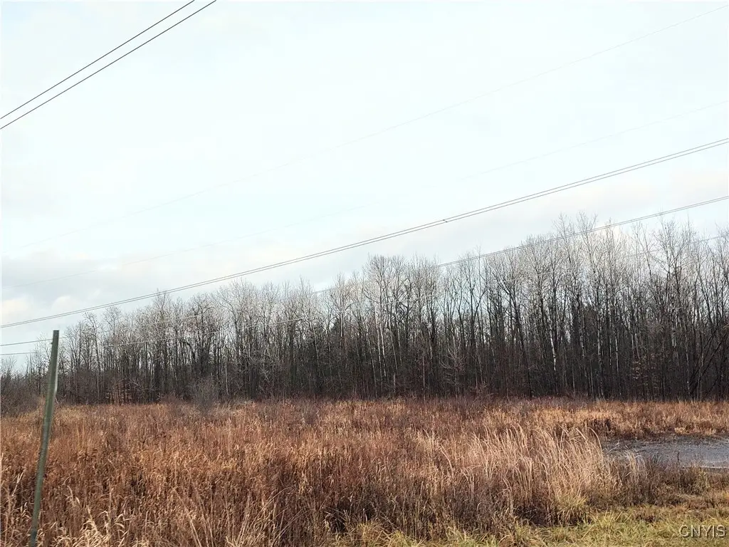 Stephens Road, Canastota, NY 13032 - Image #1