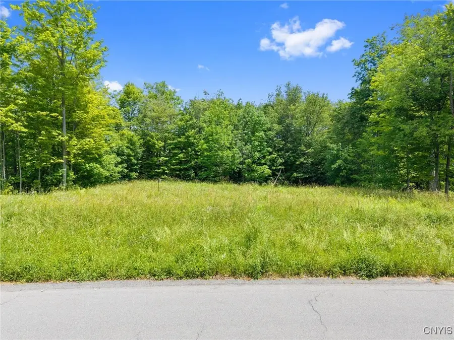 7101 Kittiwake Run, Manlius, NY 13104 - Image #2