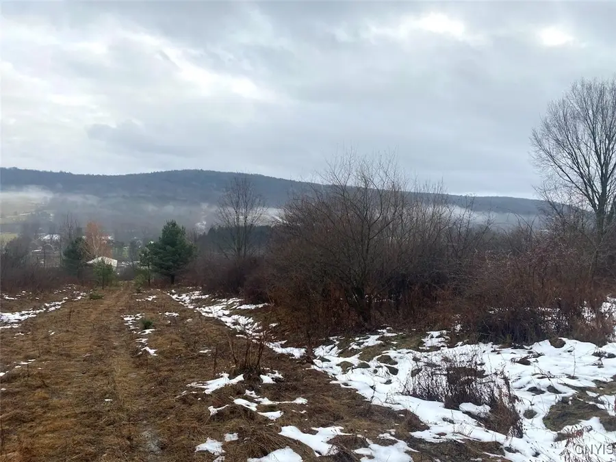 4409 State Route 275, Friendship, NY 14739 - Image #2