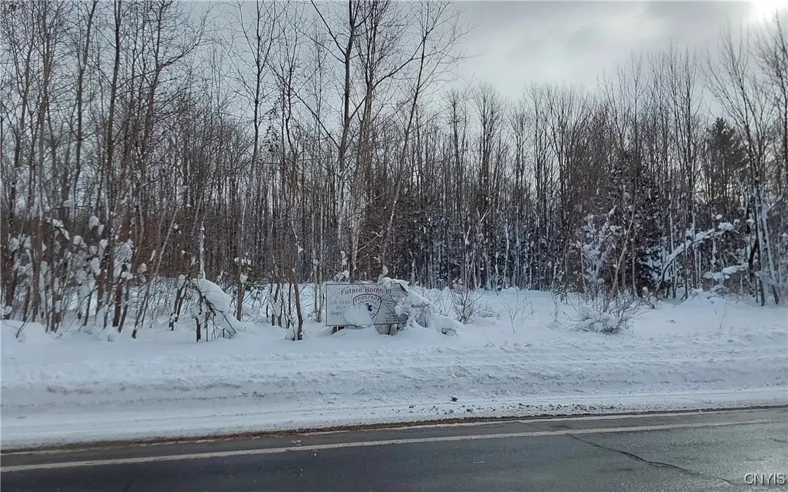 Nys Rt 365, Prospect, NY 13438 - Image #1