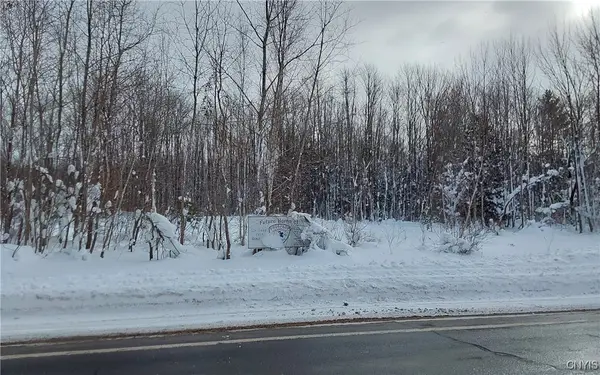 Nys Rt 365, Barneveld, NY 13438