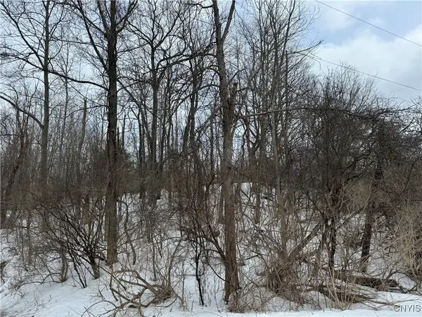 Route 12 B, Madison, NY 13402