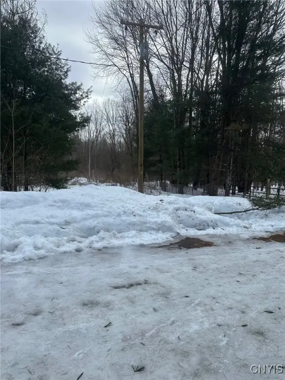 9468 Oswego Road, Baldwinsville, NY 13027 - Image #2