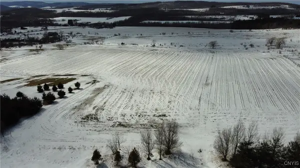 S Cortland Virgil Road, Cortland, NY 13045