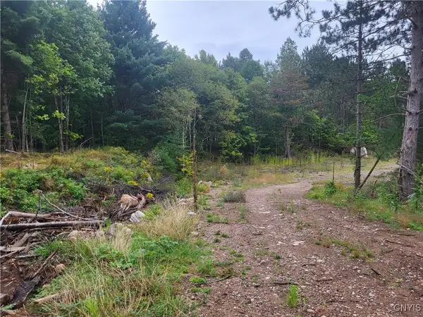 2321 State Route 3, Fine, NY 13639