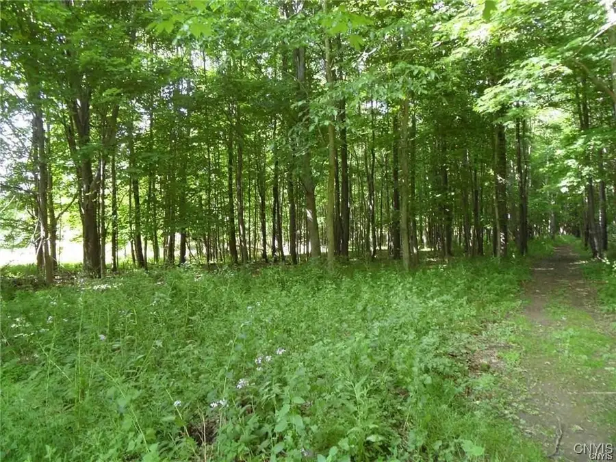 Henderson Street, Whitesboro, NY 13492 - Image #2