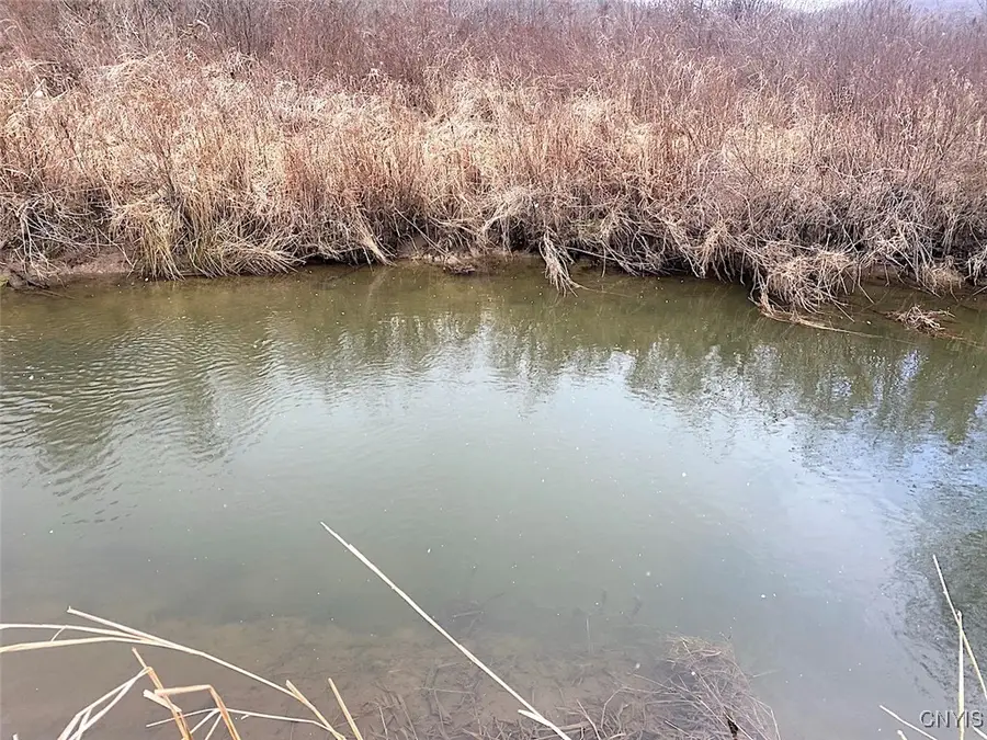 Cr-38, Alma, NY 14708 - Image #2