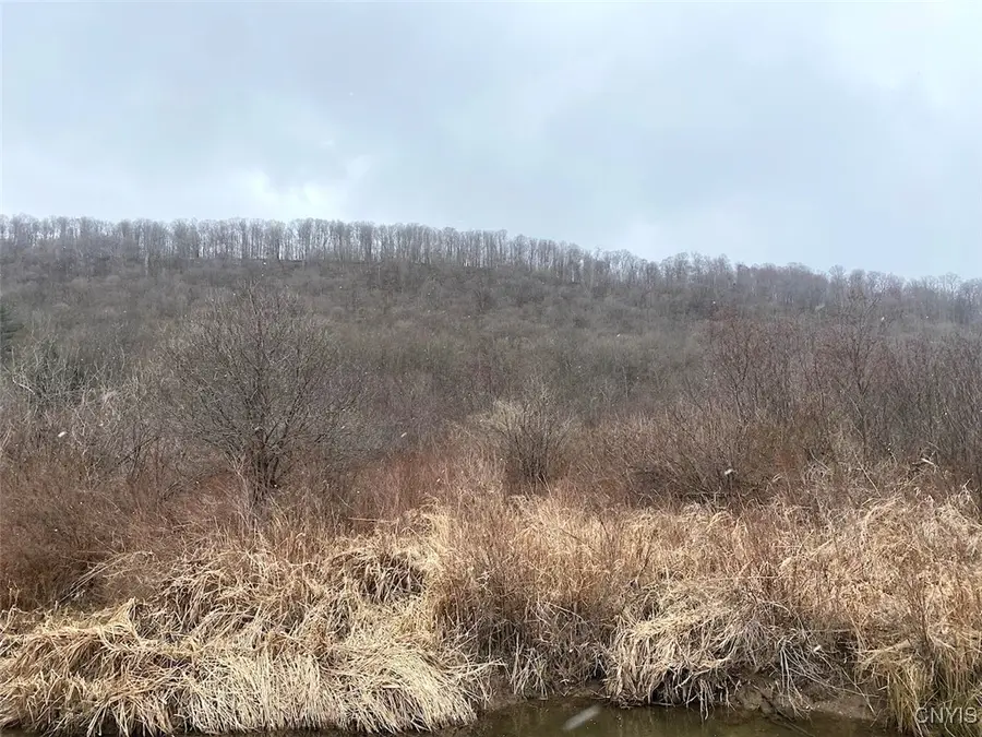 Cr-38, Alma, NY 14708 - Image #3