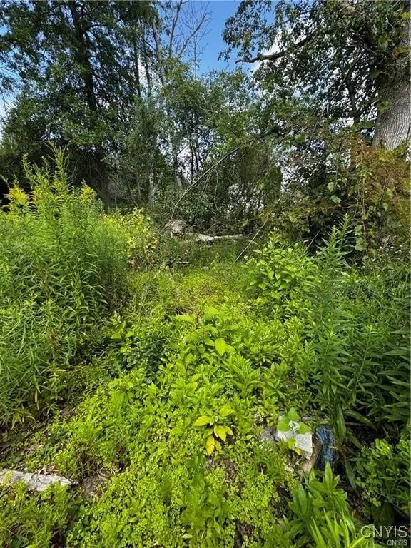 6393 Fremont Road, East Syracuse, NY 13057 - Image #2