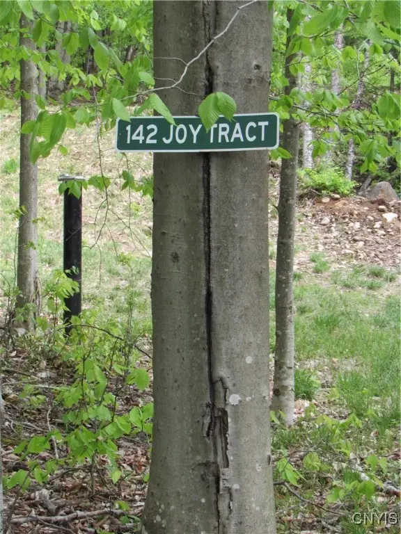 142 Joy Tract Road, Old Forge, NY 13420 - Image #2