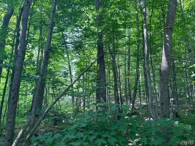 00 Brantingham Road, Greig, NY 13345 - Image #3