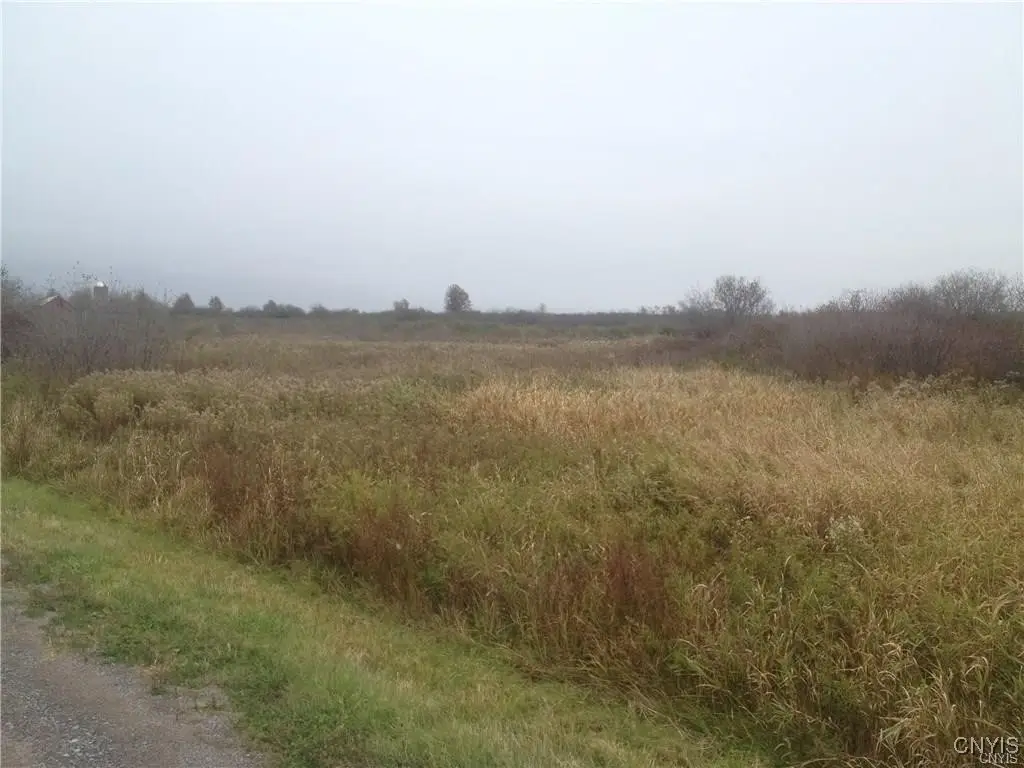 0 S Nellis Road, Evans Mills, NY 13637 - Image #1