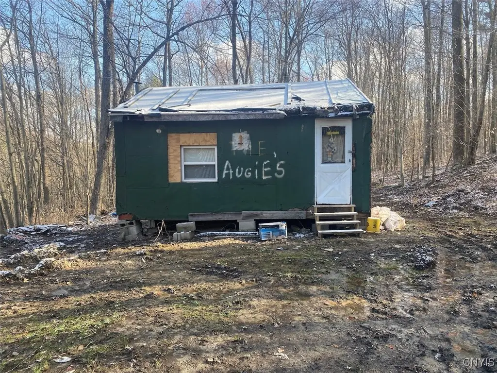 Stony Hill Road, Scio, NY 14880 - Image #1