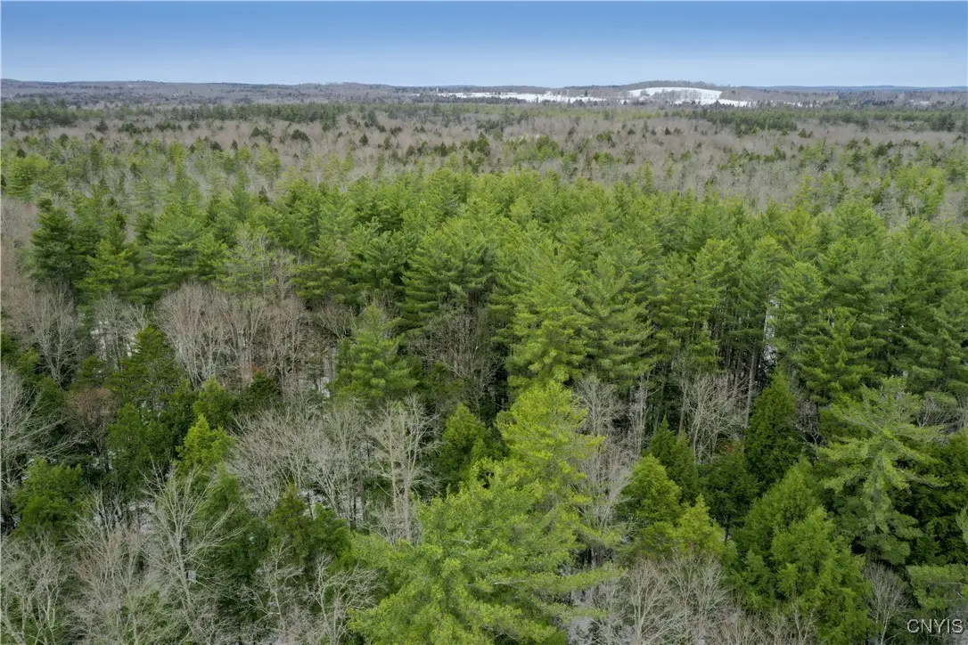 Elpis Road, Camden, NY 13316 - Image #1