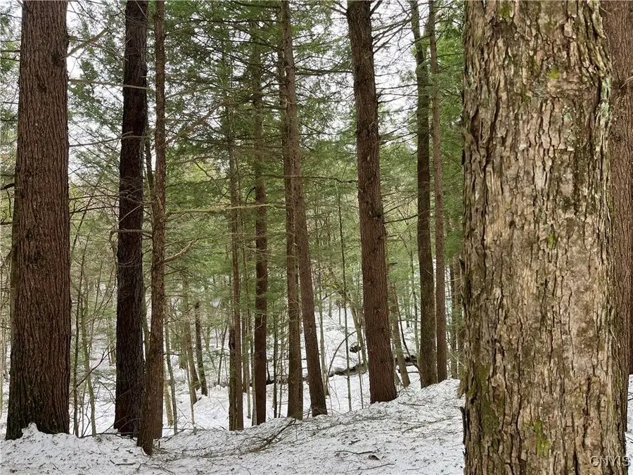 Elpis Road, Camden, NY 13316 - Image #2